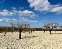 Revente - Plot - Bullas - Costa Calida