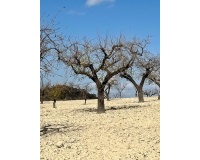 Revente - Plot - Bullas - Costa Calida