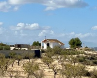 Revente - Plot - Bullas - Costa Calida