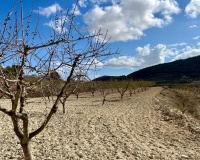 Revente - Plot - Bullas - Costa Calida