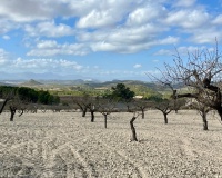 Revente - Plot - Bullas - Costa Calida