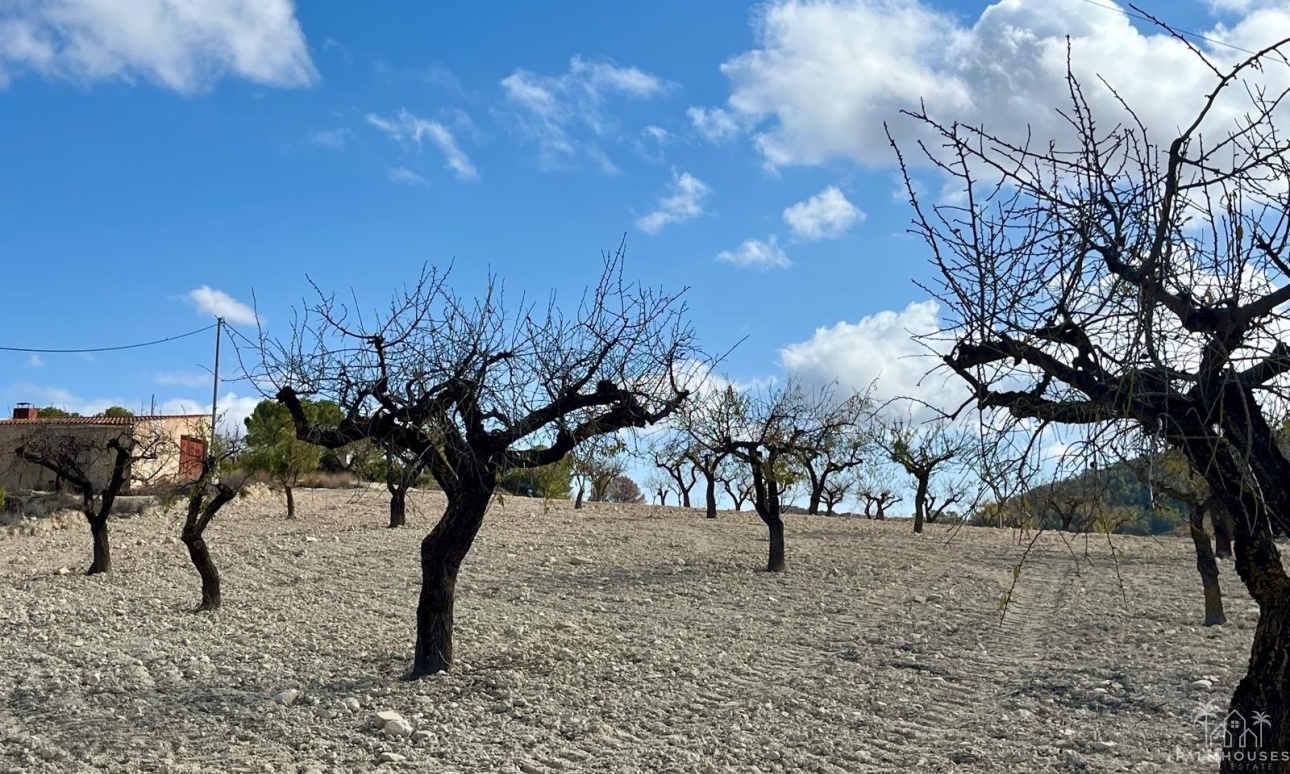 Revente - Plot - Bullas - Costa Calida
