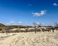 Revente - Plot - Bullas - Costa Calida