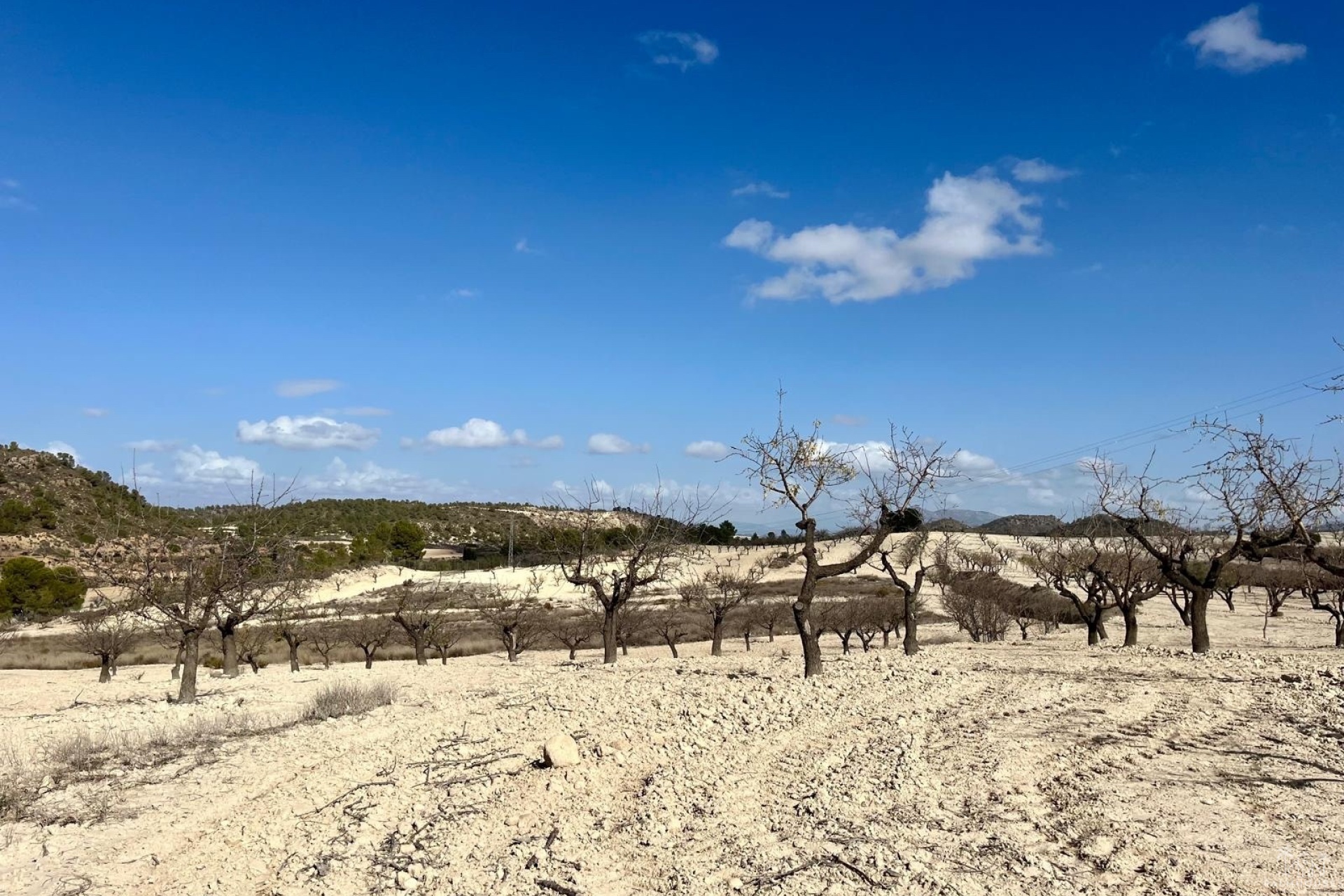 Revente - Plot - Bullas - Costa Calida