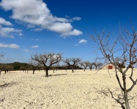 Revente - Plot - Bullas - Costa Calida