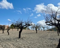 Revente - Plot - Bullas - Costa Calida