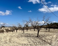 Revente - Plot - Bullas - Costa Calida