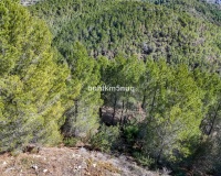 Revente - Plot - Callosa d'en Sarria - Callosa d'en Sarria Centro