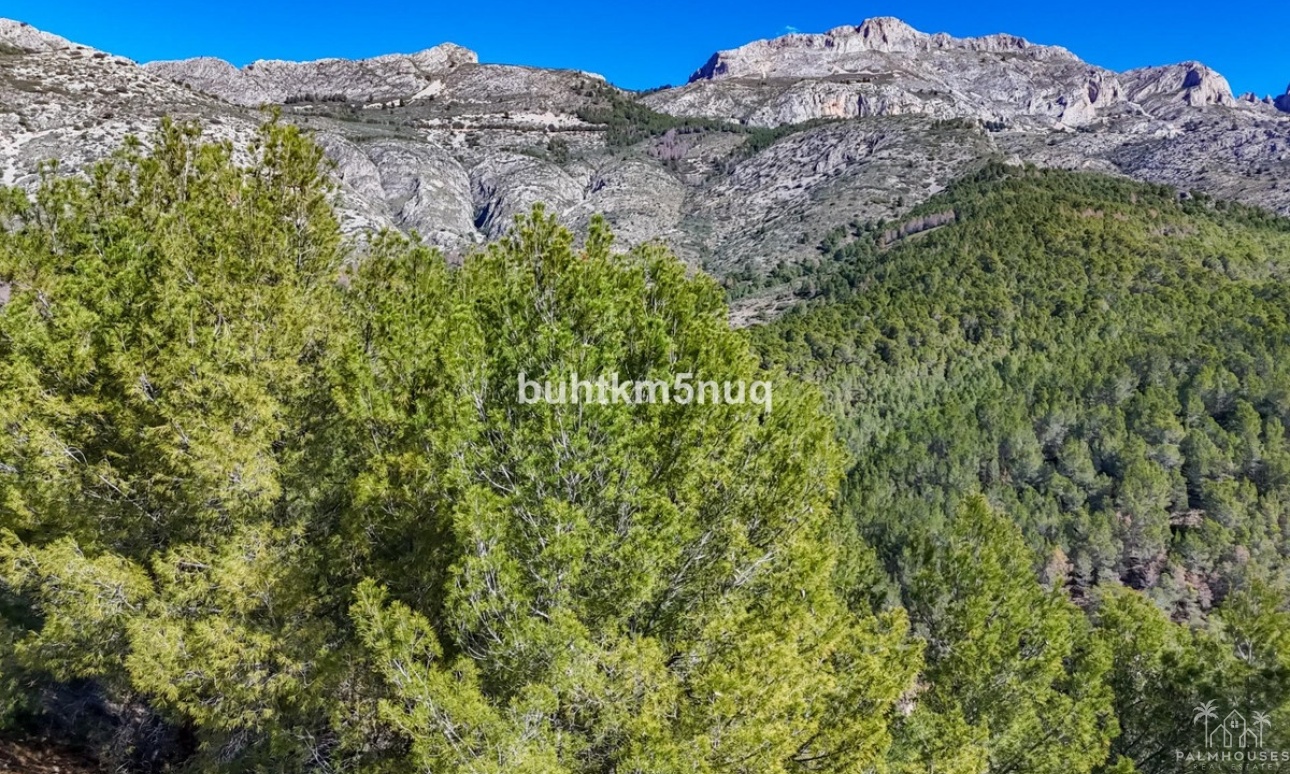 Revente - Plot - Callosa d'en Sarria - Callosa d'en Sarria Centro