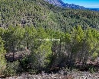 Revente - Plot - Callosa d'en Sarria - Callosa d'en Sarria Centro