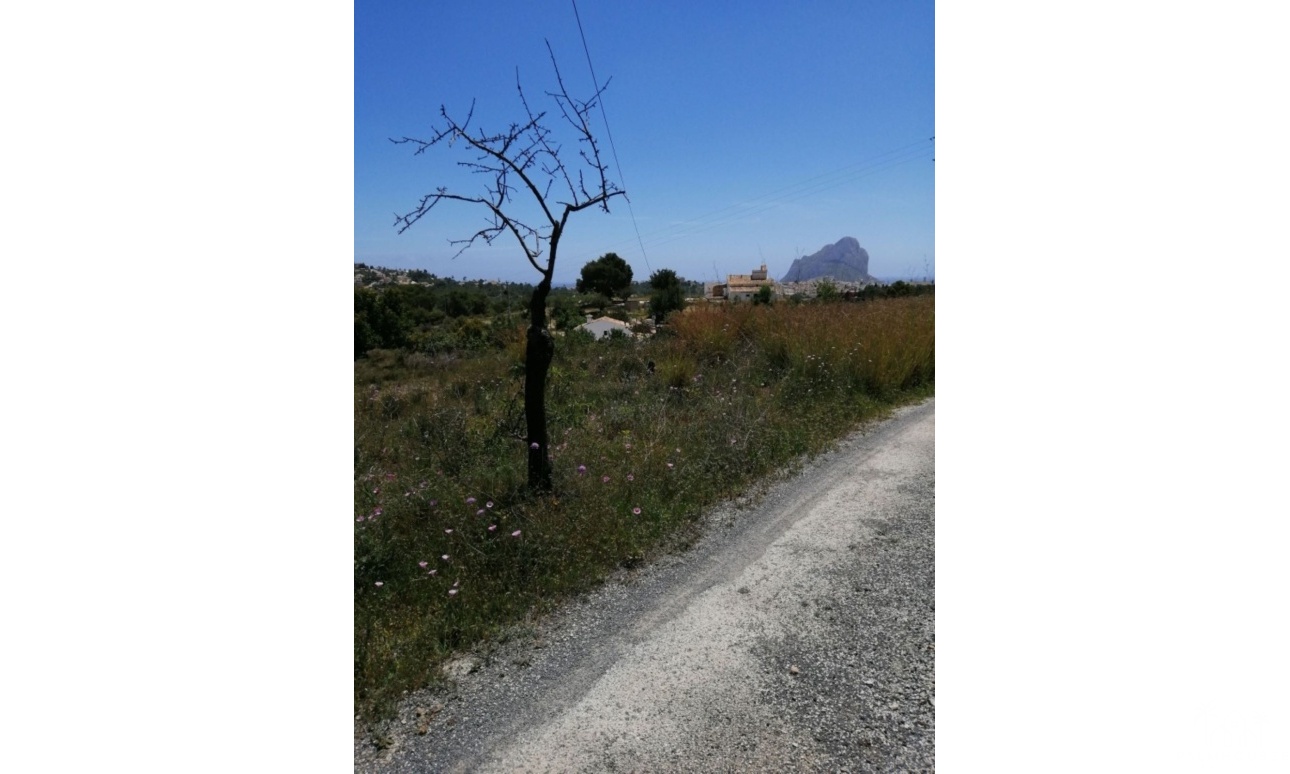 Revente - Plot - Calpe - Calpe Centro