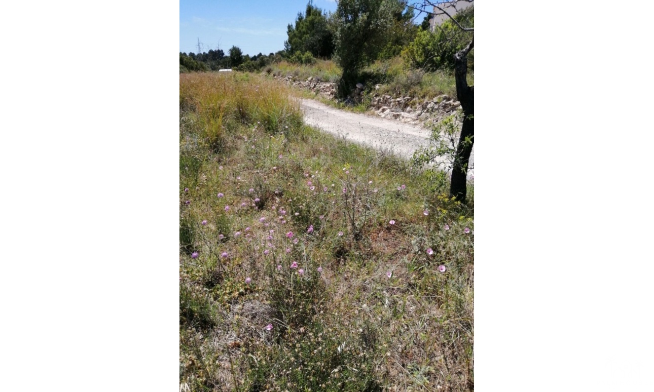 Revente - Plot - Calpe - Calpe Centro