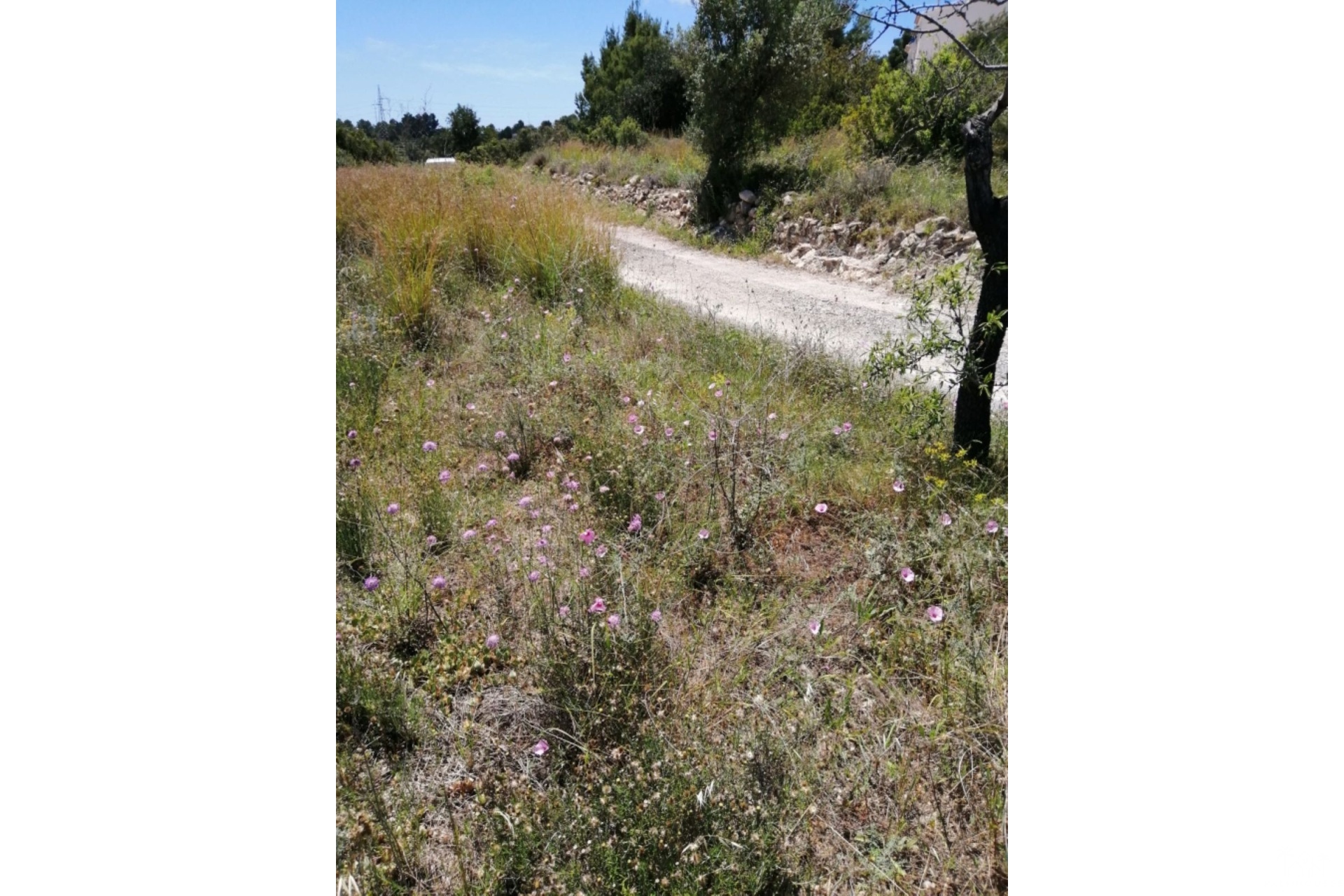 Revente - Plot - Calpe - Calpe Centro