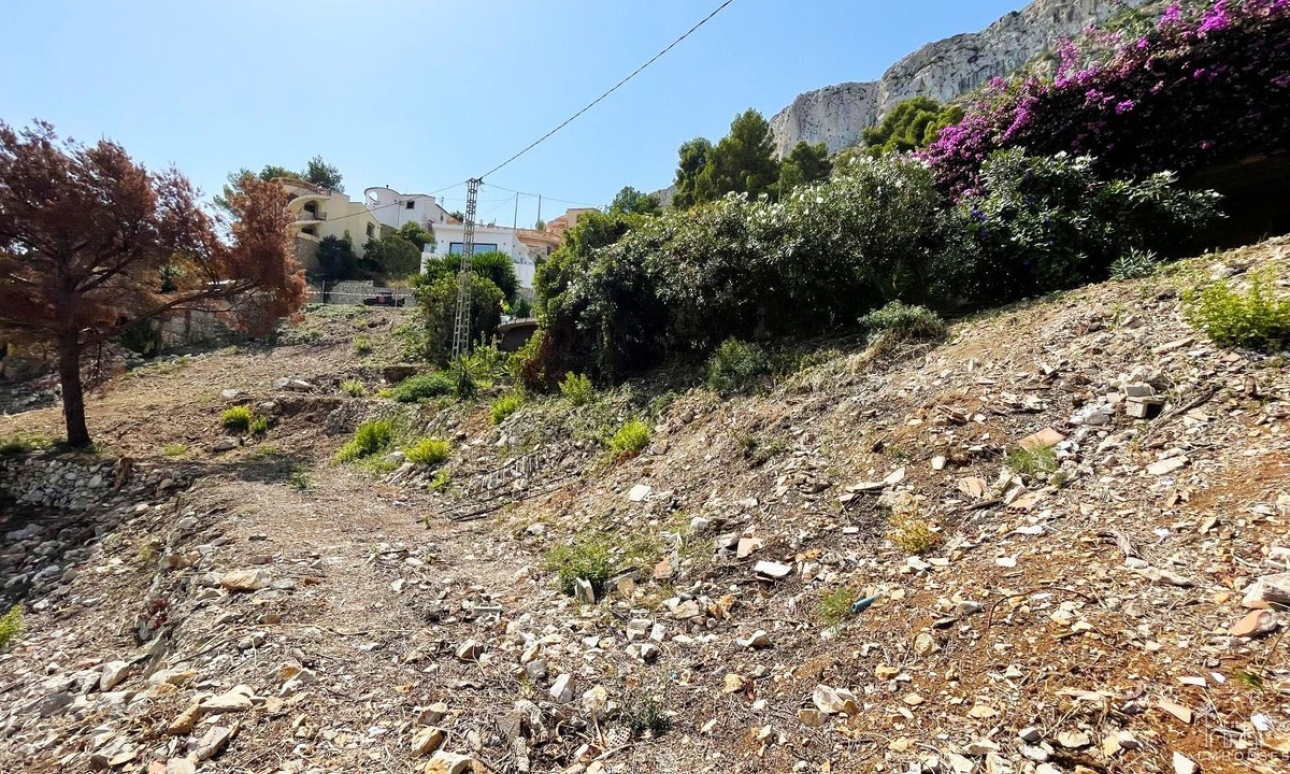 Revente - Plot - Calpe - Calpe Centro