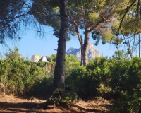 Revente - Plot - Calpe - Calpe Centro