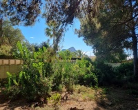 Revente - Plot - Calpe - Calpe Centro
