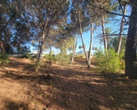Revente - Plot - Calpe - Calpe Centro