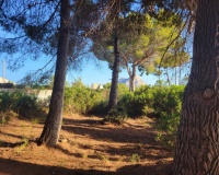 Revente - Plot - Calpe - Calpe Centro