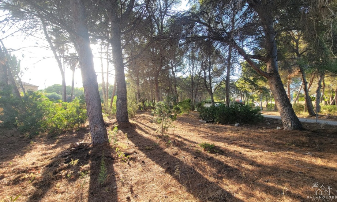 Revente - Plot - Calpe - Calpe Centro