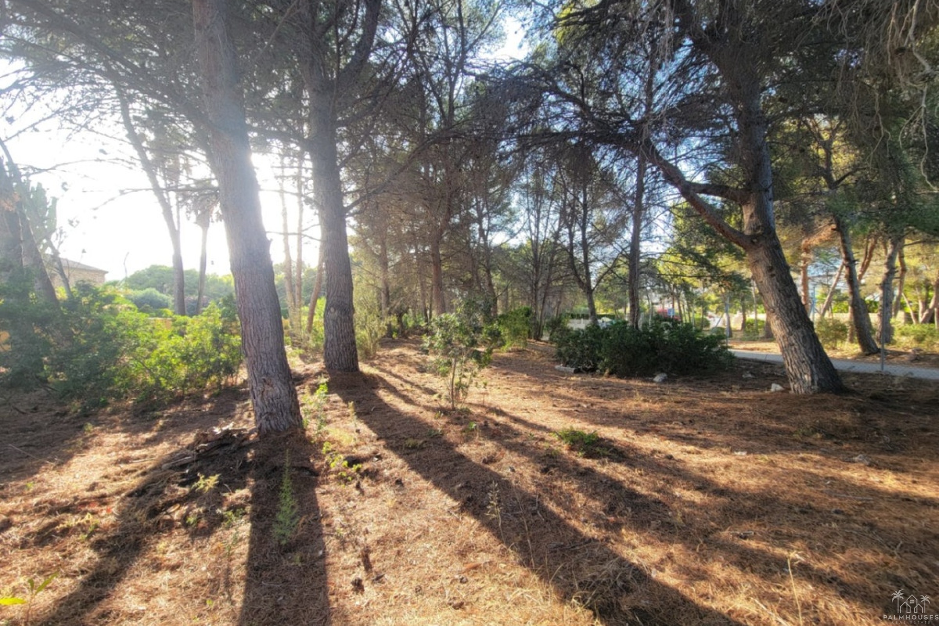 Revente - Plot - Calpe - Calpe Centro