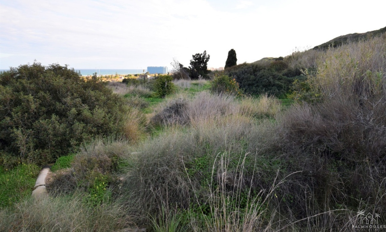 Revente - Plot - Guardamar del Segura - Guardamar del Segura Centro