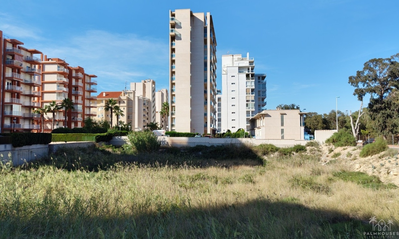 Revente - Plot - Guardamar del Segura - Guardamar del Segura Centro