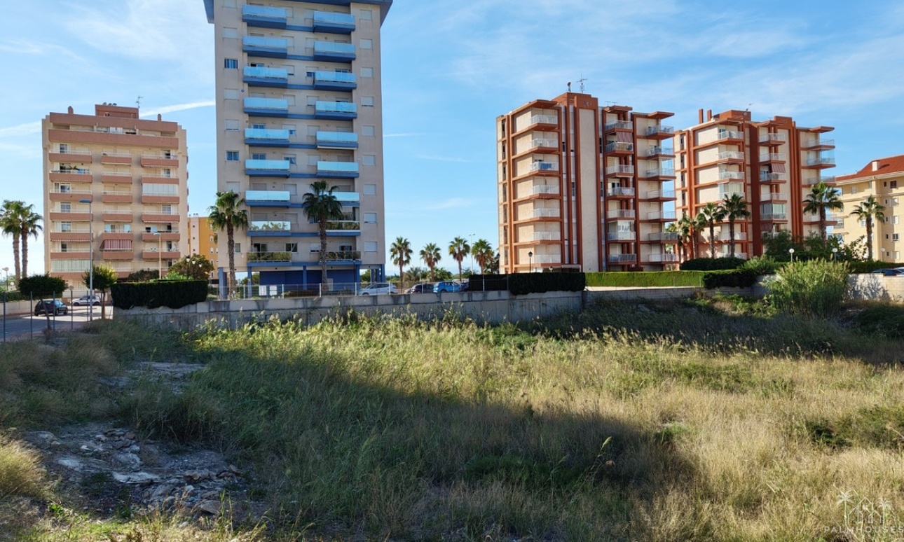 Revente - Plot - Guardamar del Segura - Guardamar del Segura Centro
