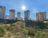 Revente - Plot - Guardamar del Segura - Guardamar del Segura Centro