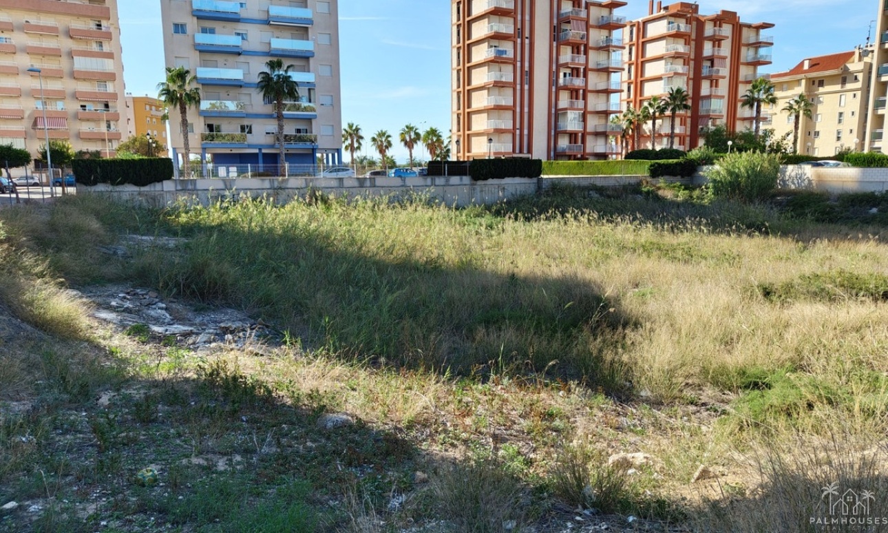 Revente - Plot - Guardamar del Segura - Guardamar del Segura Centro