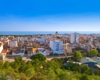 Revente - Plot - Guardamar del Segura - Guardamar del Segura Centro