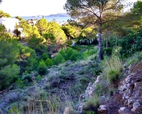 Revente - Plot - Jávea - Xàbia - Jávea - Xàbia Centro