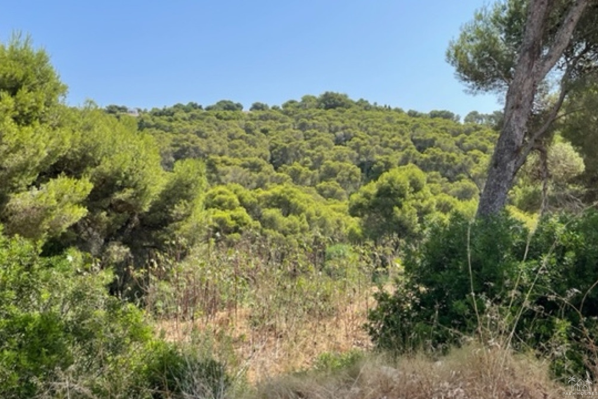 Revente - Plot - Jávea - Xàbia - Jávea - Xàbia Centro