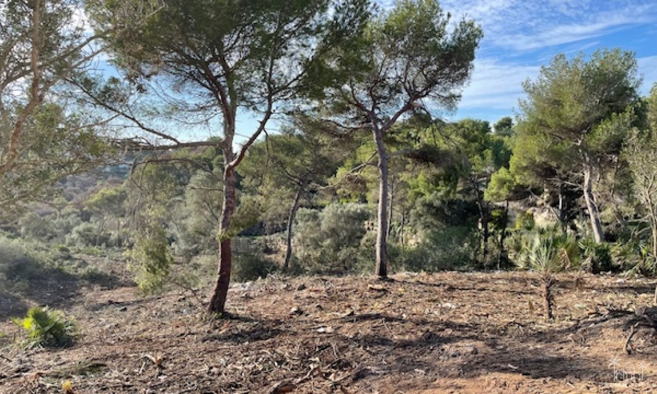 Revente - Plot - Jávea - Xàbia - Jávea - Xàbia Centro