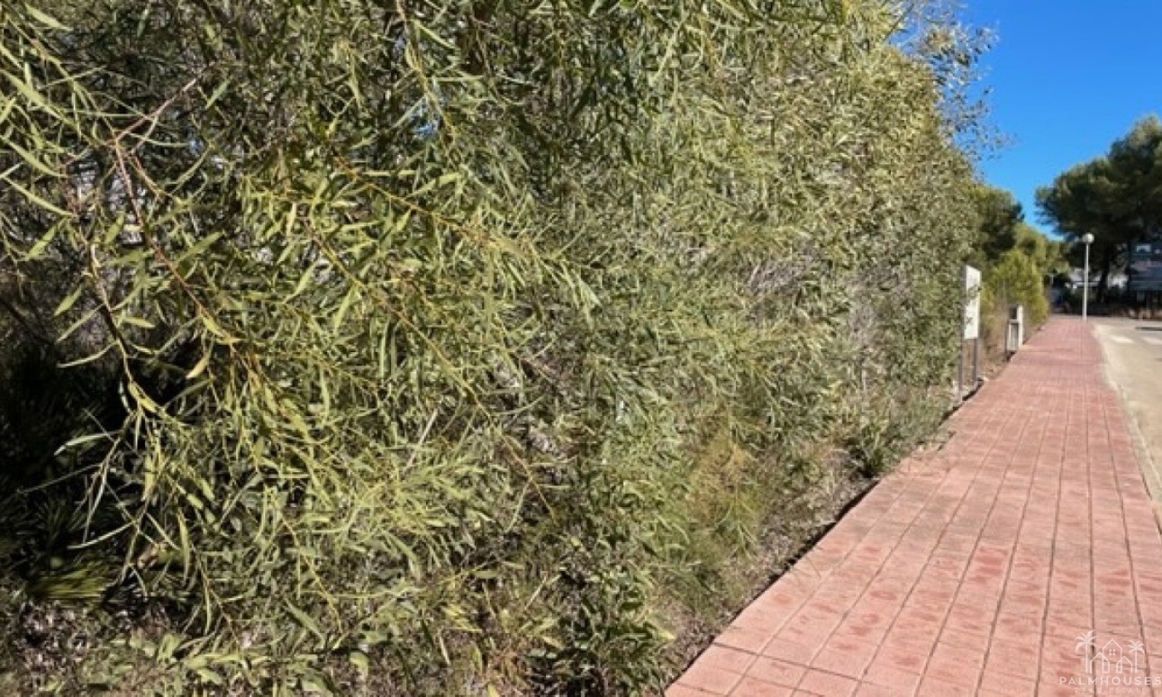 Revente - Plot - Jávea - Xàbia - Jávea - Xàbia Centro