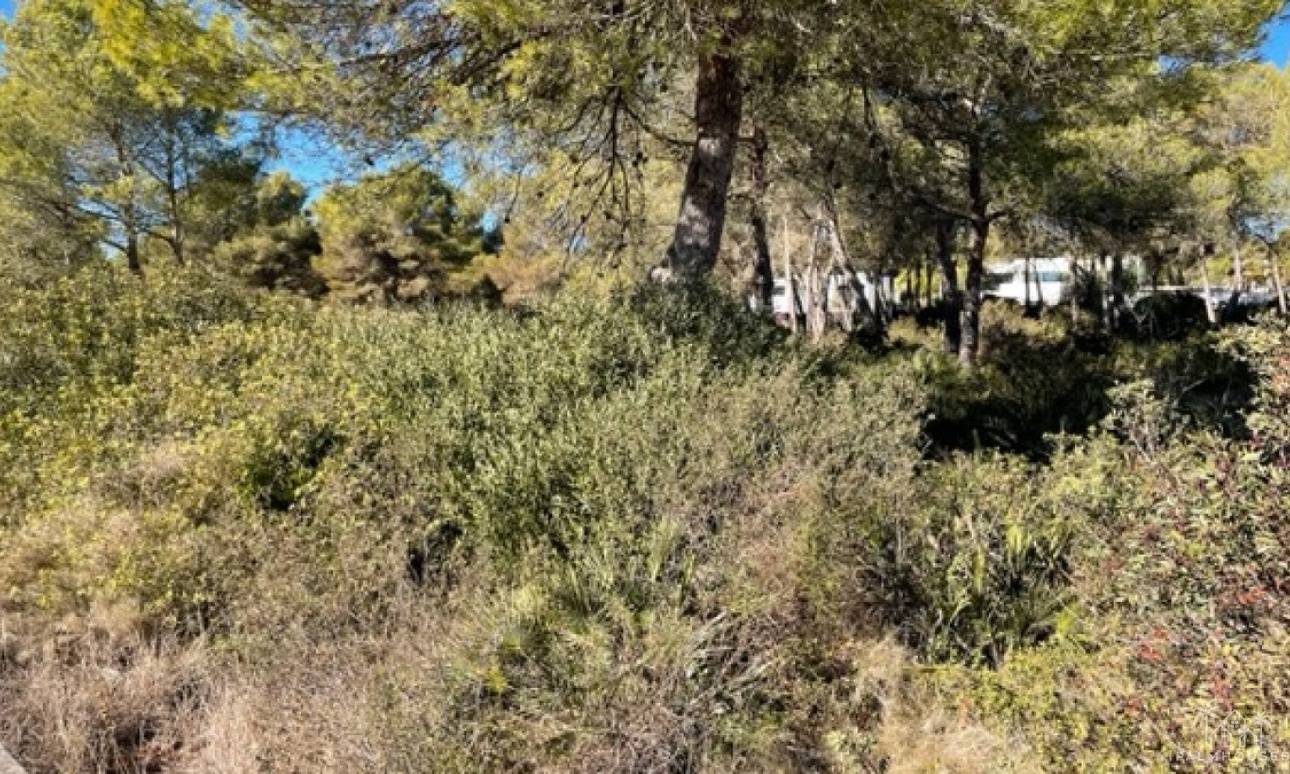 Revente - Plot - Jávea - Xàbia - Jávea - Xàbia Centro