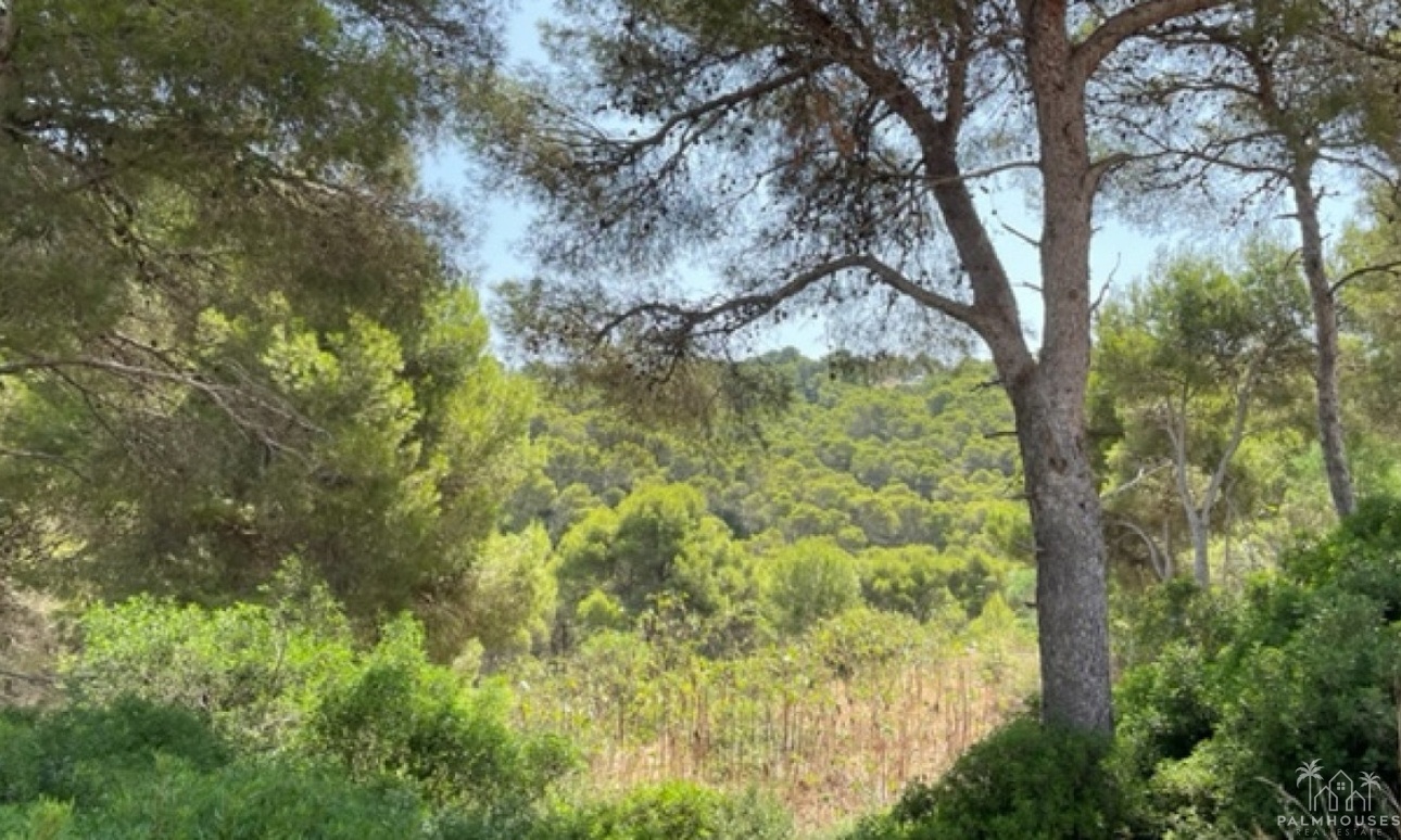 Revente - Plot - Jávea - Xàbia - Jávea - Xàbia Centro