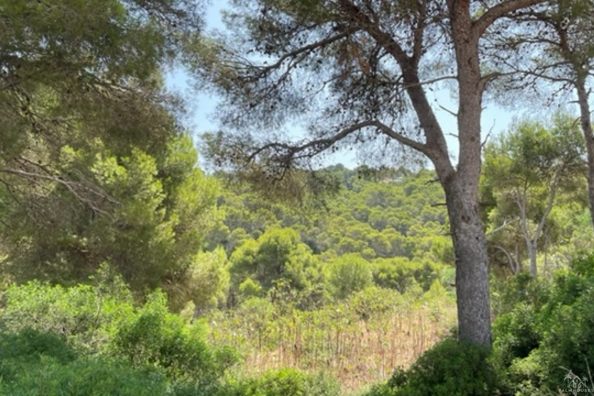 Revente - Plot - Jávea - Xàbia - Jávea - Xàbia Centro