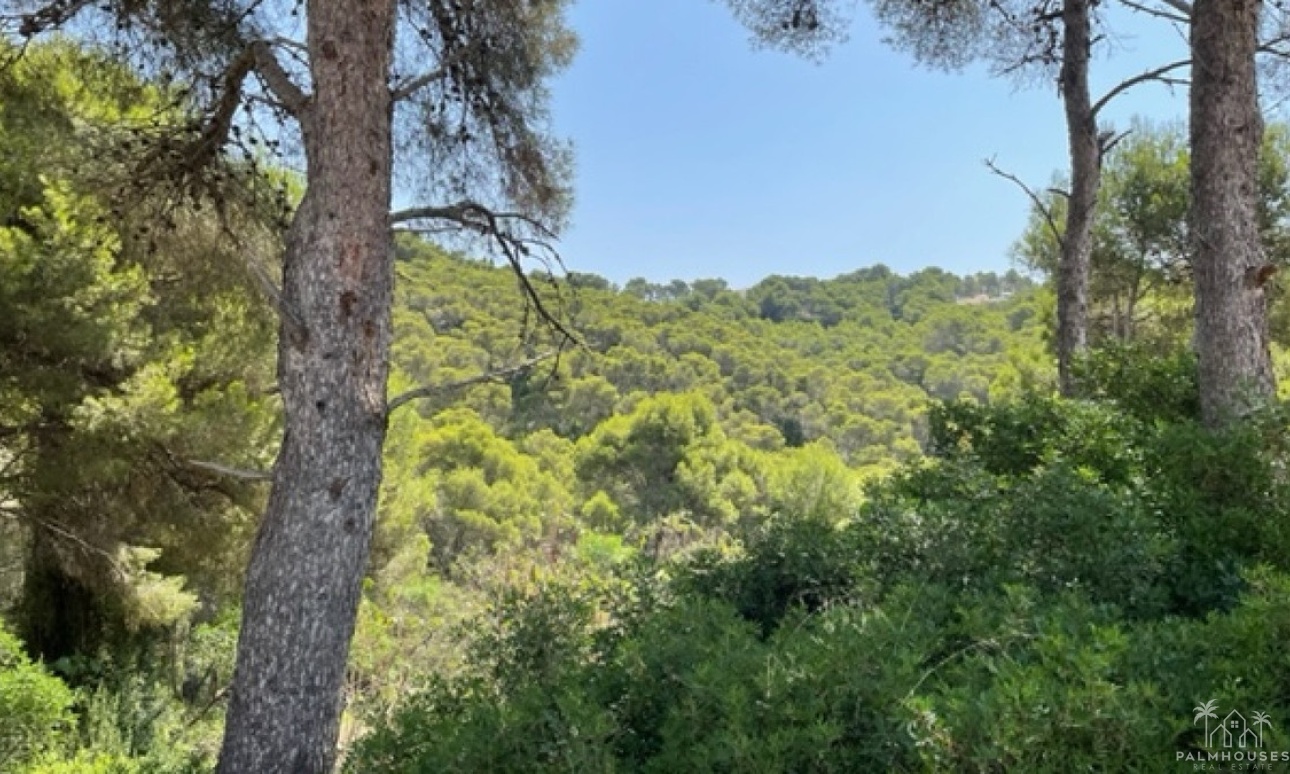 Revente - Plot - Jávea - Xàbia - Jávea - Xàbia Centro