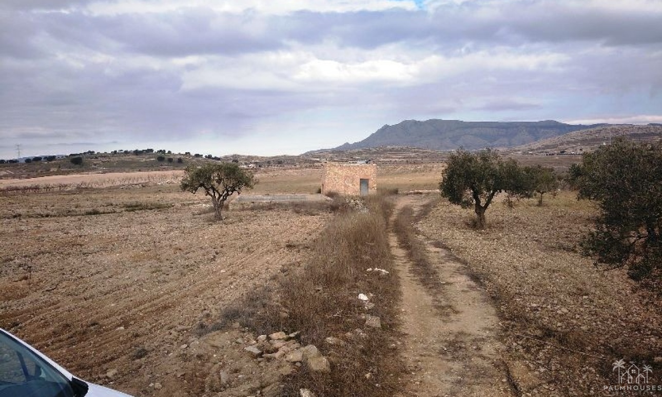 Revente - Plot - Jumilla - Torre Del Rico