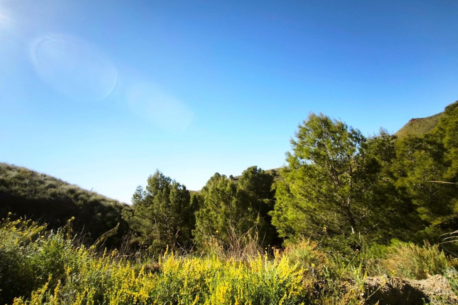 Revente - Plot - Lorca - Lorca Centro