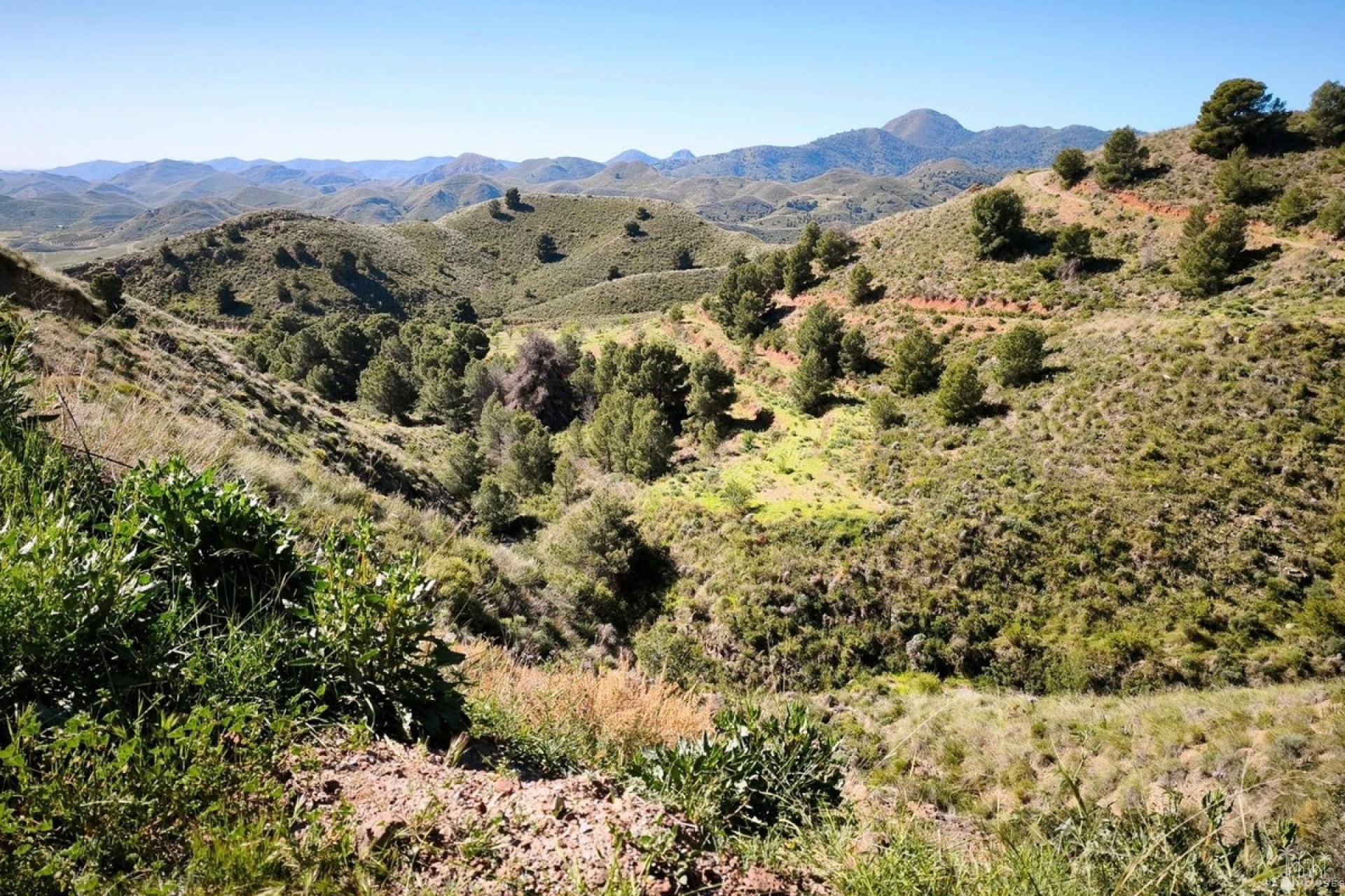 Revente - Plot - Lorca - Lorca Centro