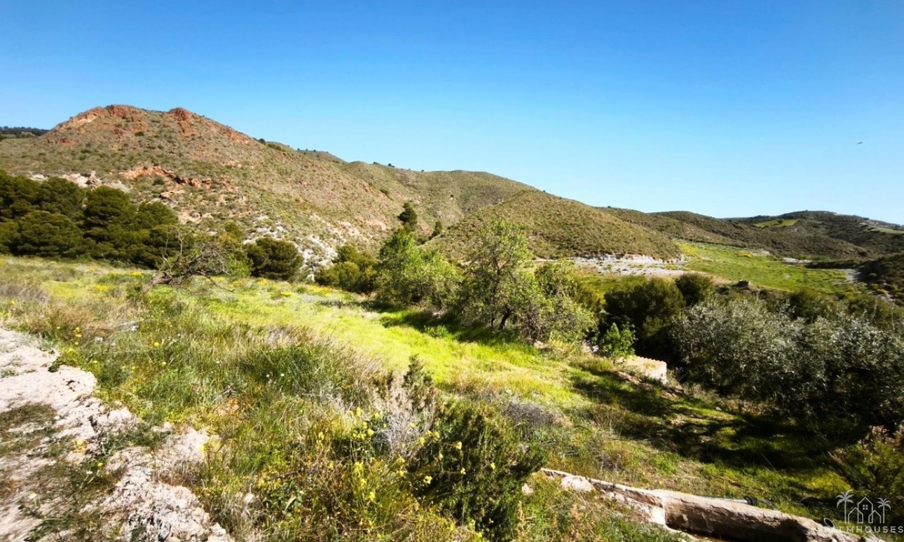 Revente - Plot - Lorca - Lorca Centro
