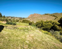 Revente - Plot - Lorca - Lorca Centro