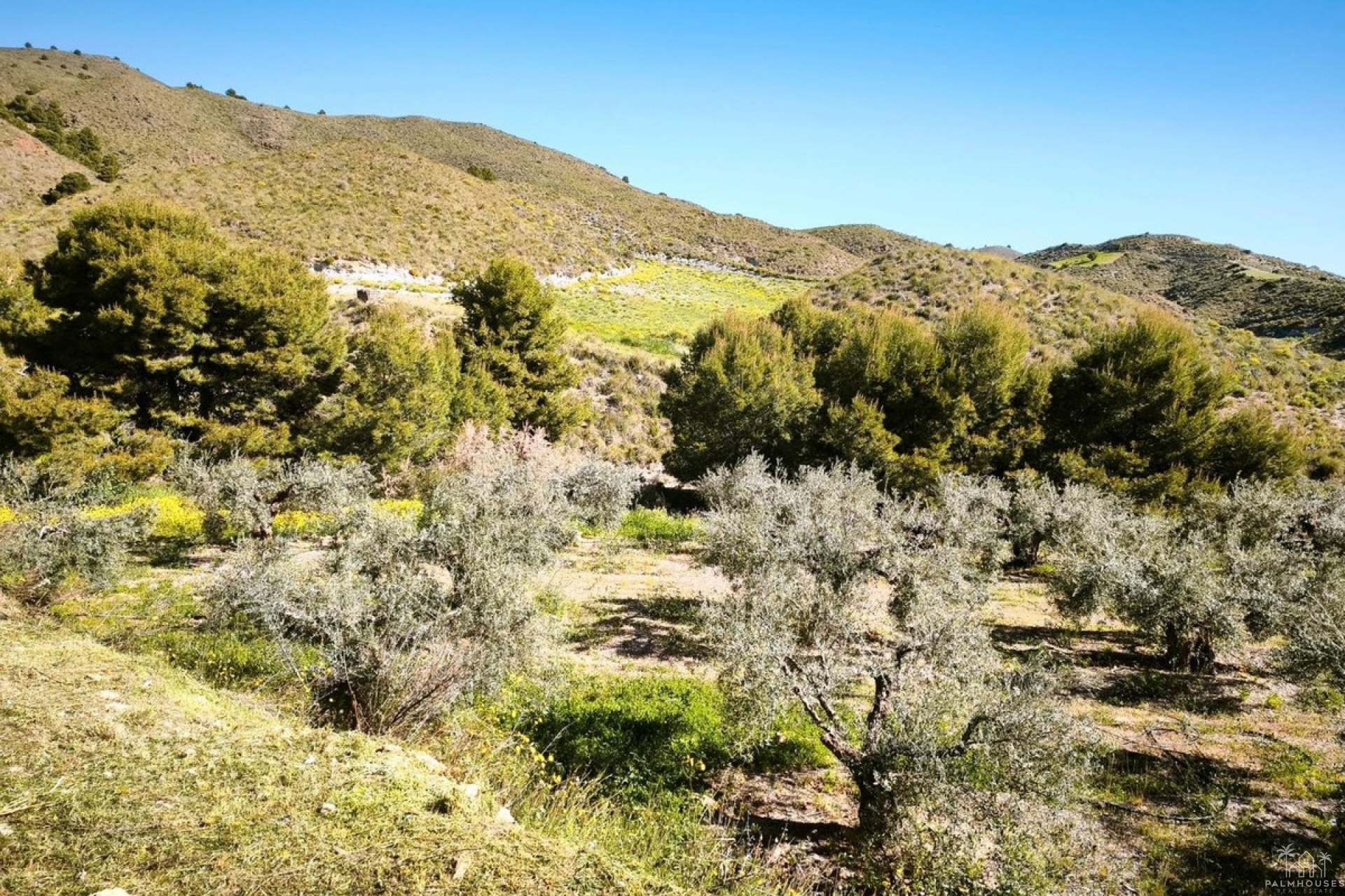 Revente - Plot - Lorca - Lorca Centro