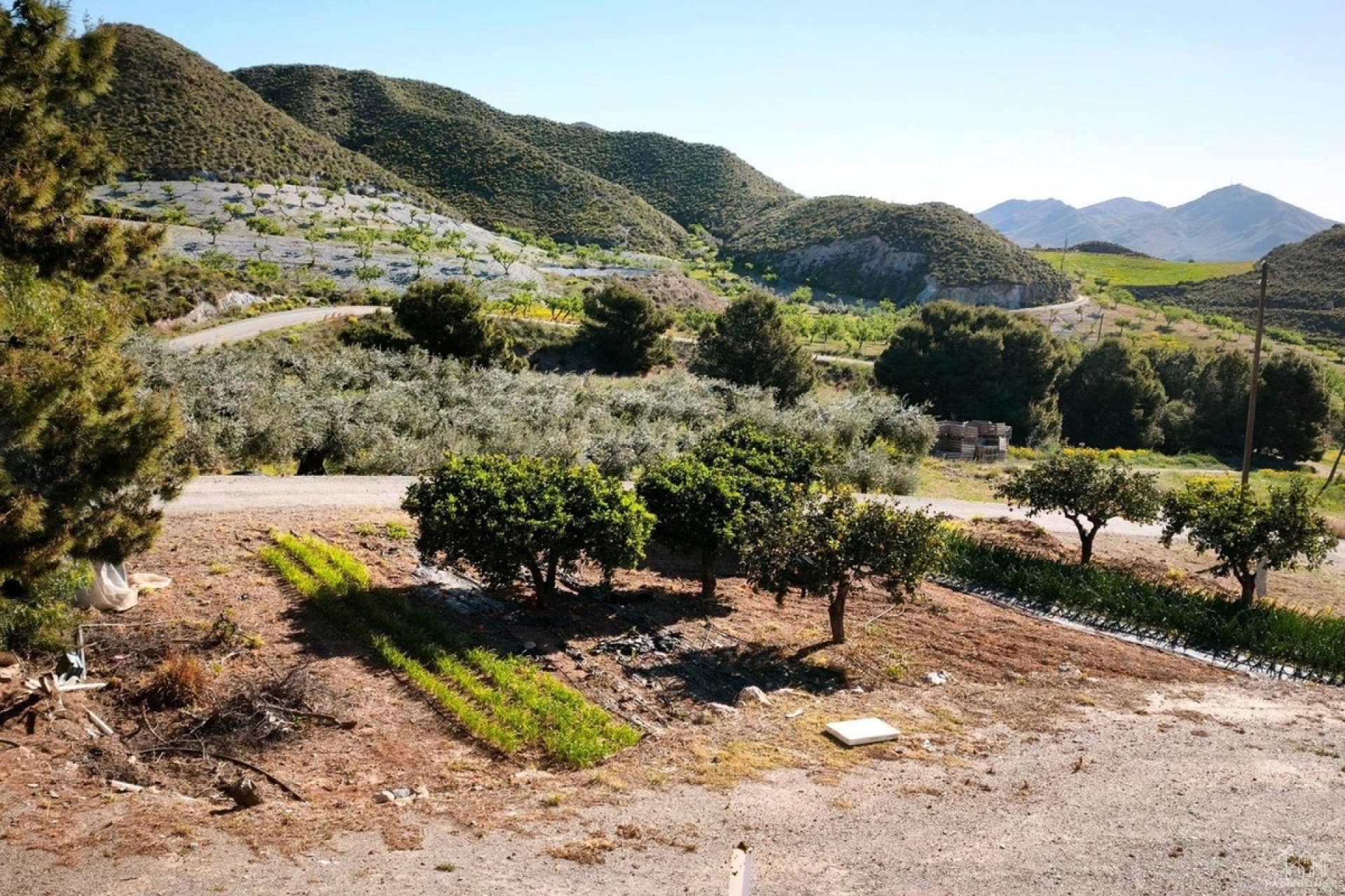 Revente - Plot - Lorca - Lorca Centro