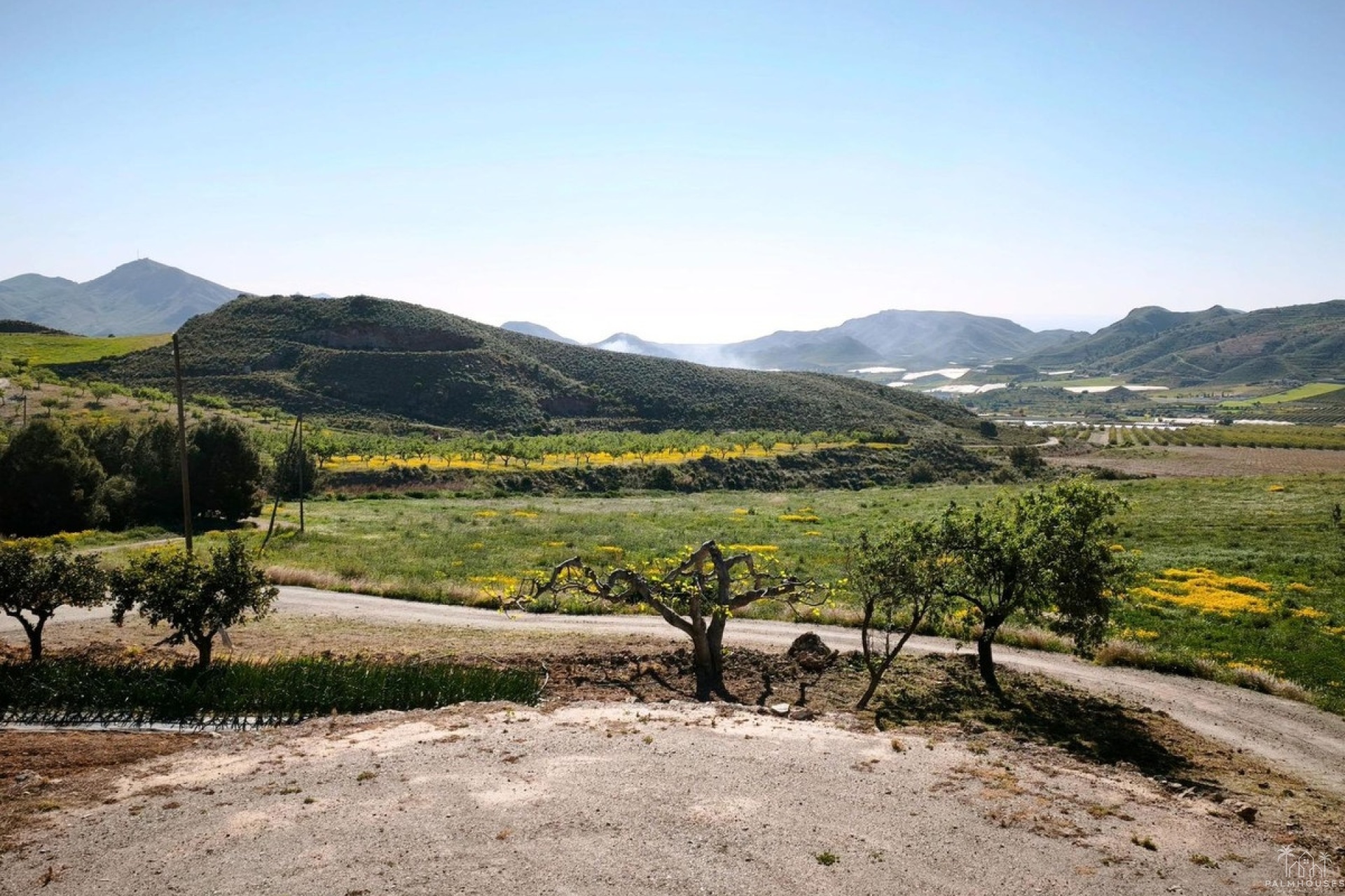 Revente - Plot - Lorca - Lorca Centro