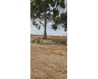 Revente - Plot - Murcia - Sucina