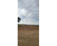 Revente - Plot - Murcia - Sucina