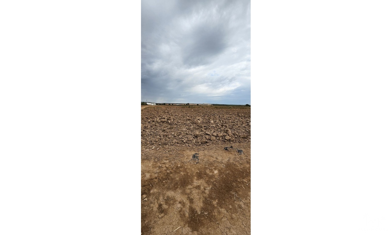 Revente - Plot - Murcia - Sucina
