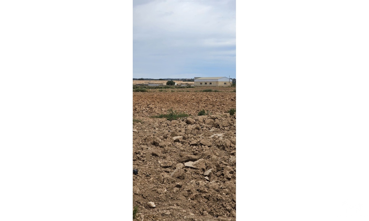 Revente - Plot - Murcia - Sucina